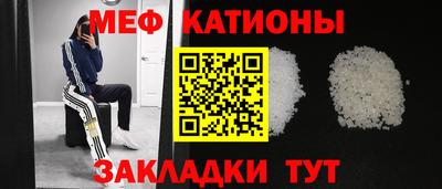 прущие грибы Обнинск
