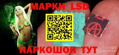 прущие грибы Обнинск