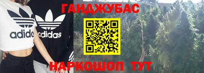 прущие грибы Обнинск