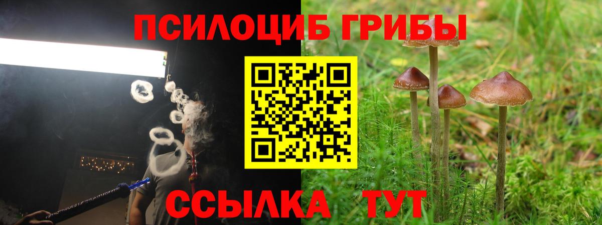 Свободный  Галлюциногенные грибы мухоморы  Вход с VPN 