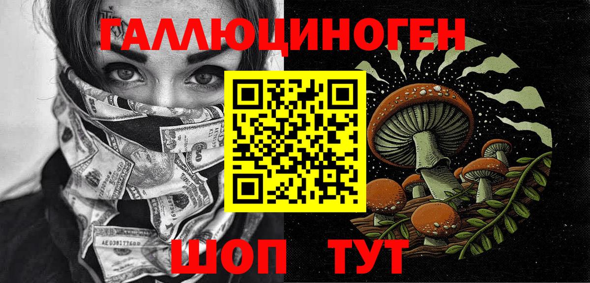 Галлюциногенные грибы GOLDEN TEACHER Свободный